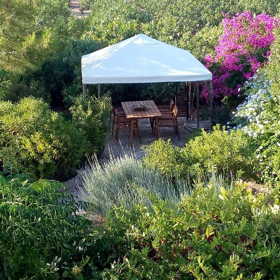 Aegina'S Oasis Villa Dış mekan fotoğraf