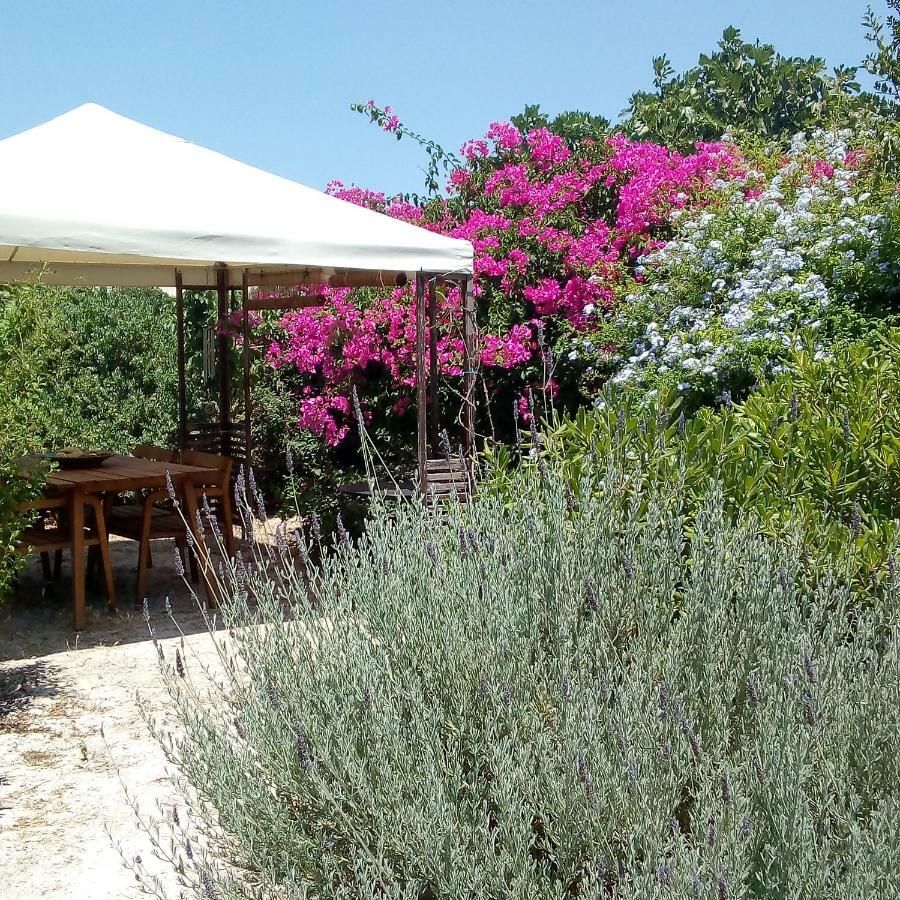 Aegina'S Oasis Villa Dış mekan fotoğraf