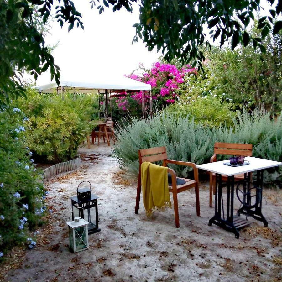 Aegina'S Oasis Villa Dış mekan fotoğraf