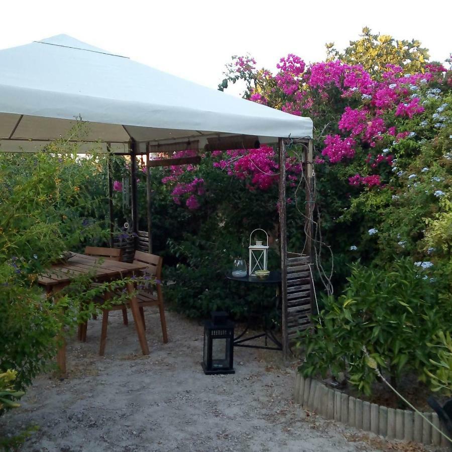 Aegina'S Oasis Villa Dış mekan fotoğraf